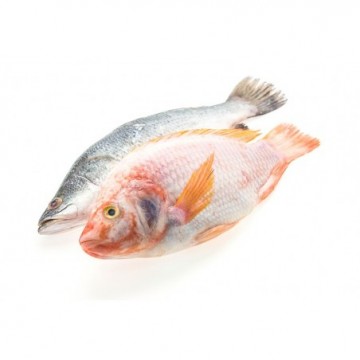 PESCADO ENTERO PEQUEÑO