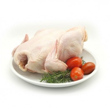 POLLO LIMPIO PASTOREO KILO
