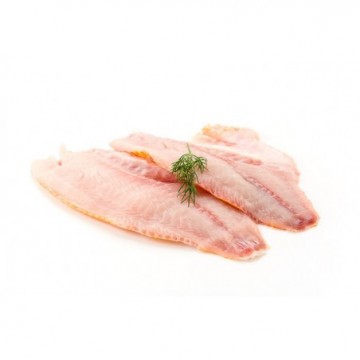 FILETE CORVINA KILO