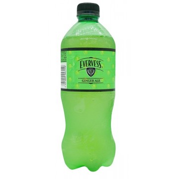 REFRESCO GINGER ALE 600ML...