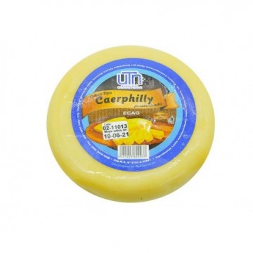 QUESO CAERPHI 400G ECAG