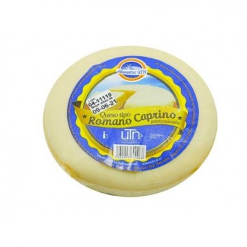 QUESO CAPRINO 400G ECAG
