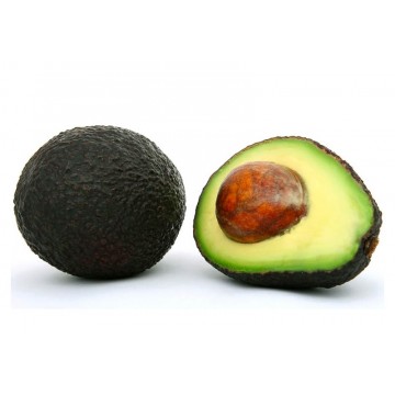 AGUACATE HASS POR KILO