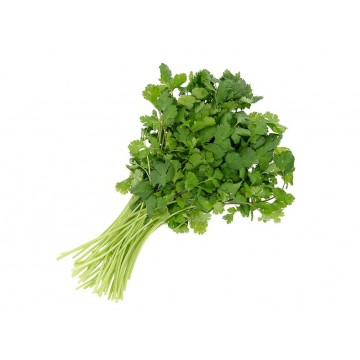 CULANTRO CASTILLA ORGANICO...