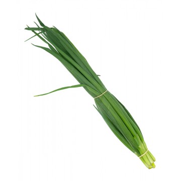 CEBOLLIN ORGANICO UNIDAD