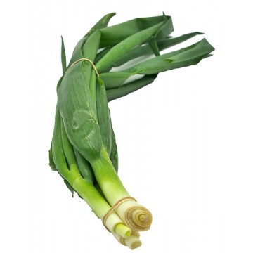 CEBOLLIN ROLLO UNIDAD