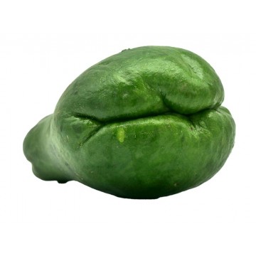 CHAYOTE CRIOLLO UNIDAD