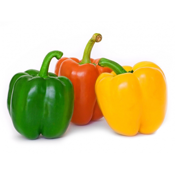 CHILE MUNDIAL UNIDAD