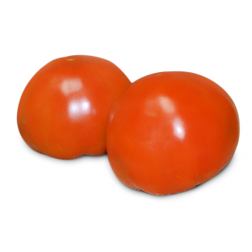 TOMATE PRIMERA KILO