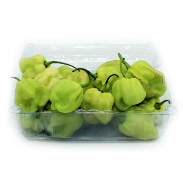 CHILE PANAMEÑO KILO